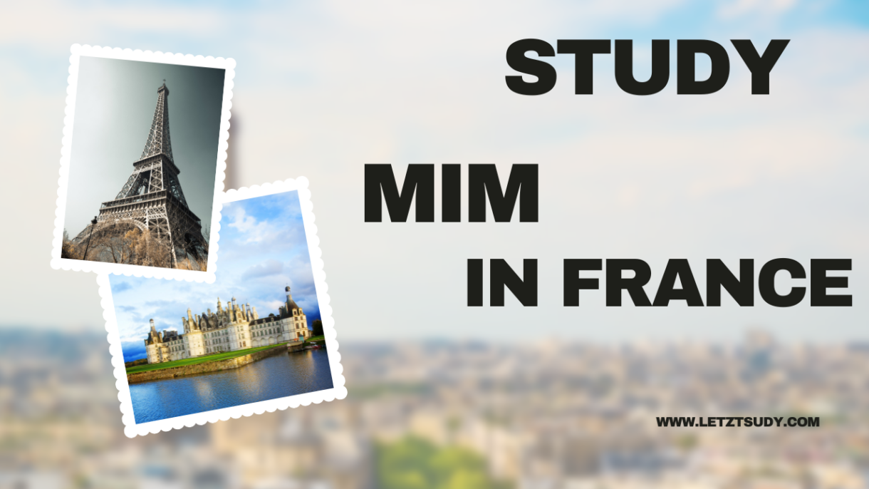 MiM in France