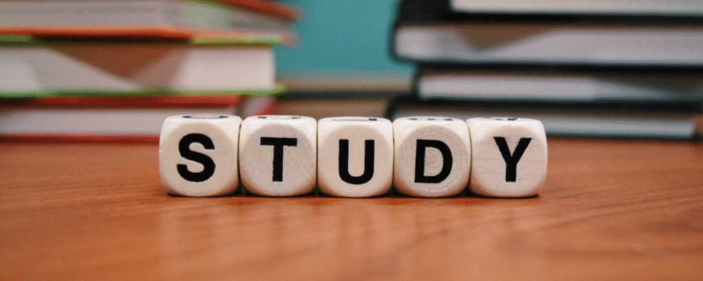 Study Abroad Counselling @Letzstudy