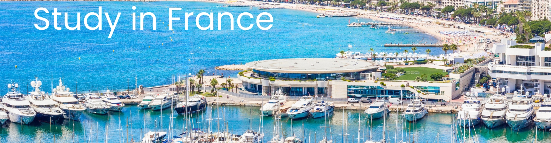 Study in france through Letzstudy